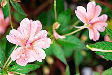 《暗黑4》大获成功 负责人晒合照：为团队感到自豪